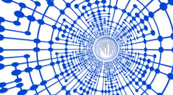 星空中国官网-法甲球员恢复期心率波动数据指导训练负荷调整，法甲球员收入